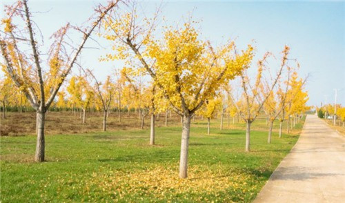 西安公墓建設費用多少-關于西安公墓建設費用多少的詳細介紹