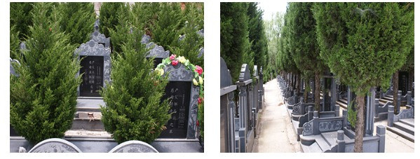 西安市殯儀館靈車接運服務