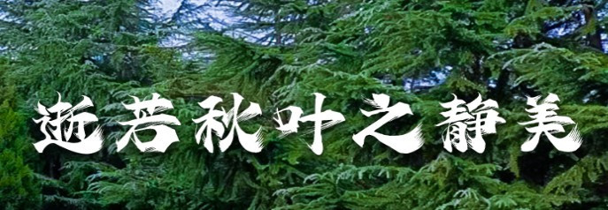 西安鳳凰嶺公墓坐多少路車