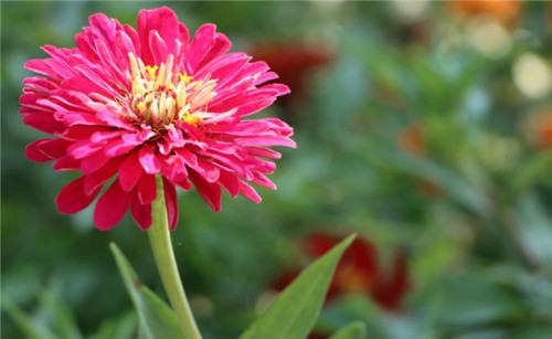 西安市公墓大全、西安市墓園大全、西安便宜的墓地 