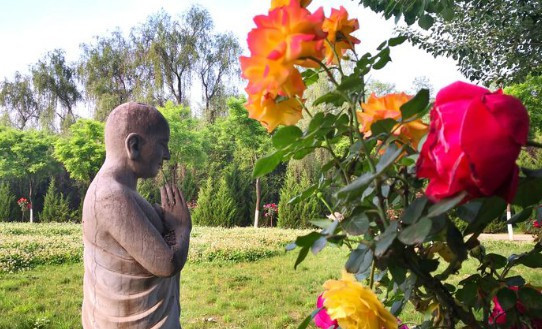 西安專營高橋墓園高贈送高性價比的公墓