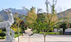 鳳棲山北區可以祭奠嗎