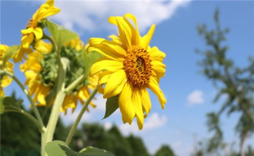 西安公墓價格按什么單位