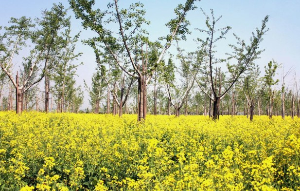 西安壽陽山墓園怎么走，前往西安壽陽山墓園的交通指南