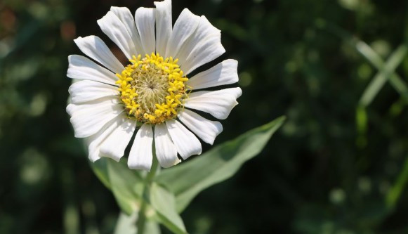 西安三兆公墓和霸陵公墓區(qū)別