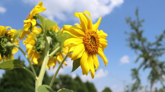 陜西省西安市壽陽山墓園自然生態陵園價格