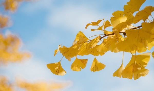 西安墓地費用怎么算