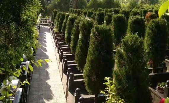 西安霸陵墓園新區(qū)電話地址價(jià)格