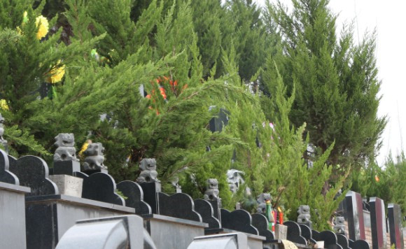 公墓環境如何描述好-公墓環境:如何打造一個優美和諧的墓園?