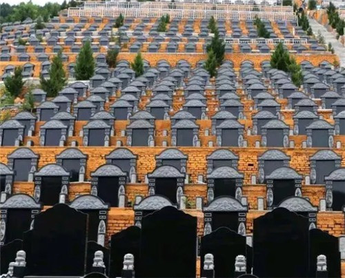 清明時節雨紛紛 一束鮮花祭故人-公墓大全