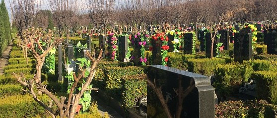 西安經營性公墓漢陵墓園-鳳棲山墓園南區管理處