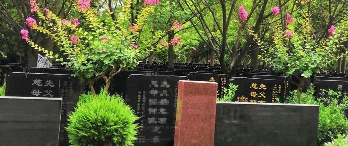 為墳?zāi)古嗤列枰⒁馐裁茨?55-西安霸陵墓園