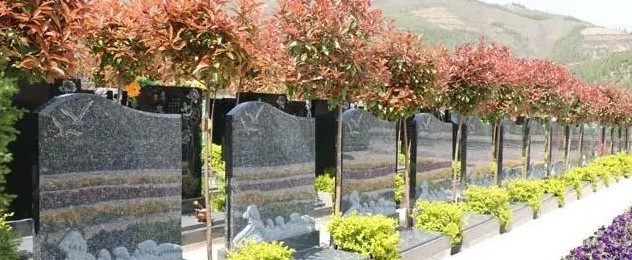 西安市高陵區公墓價格與服務對比