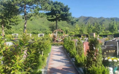 西安高橋墓園祭祀,西安高橋墓園的祭祀指南與注意事項(xiàng)