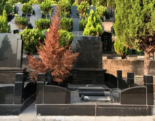 西安鳳棲山墓園(鳳棲山人文紀念園)辦事處電話