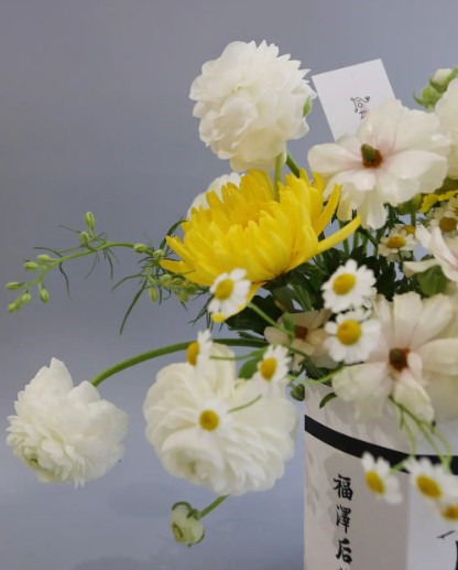 西安墓園樹(shù)葬-西安樹(shù)葬：新時(shí)代環(huán)保葬法的典范