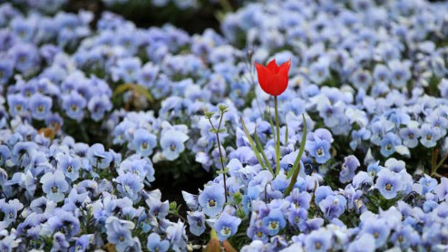 西安公墓大概多少錢(qián)