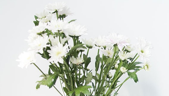 西安墓園預約-西安墓園預約:難題與解決