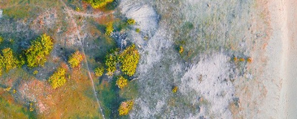 選擇好的墓地都有哪些技巧