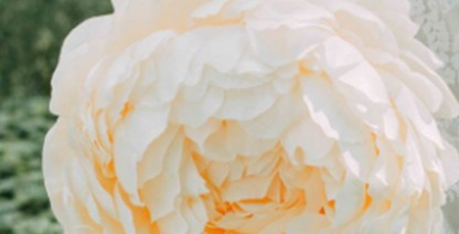 西安周邊墓園哪些比較好?哪個墓園好?哪個墓園價格便宜?