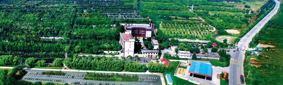 西安高橋墓園電話