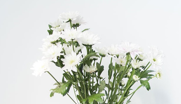 西安秦嶺墓地_墓碑_中國黑六號