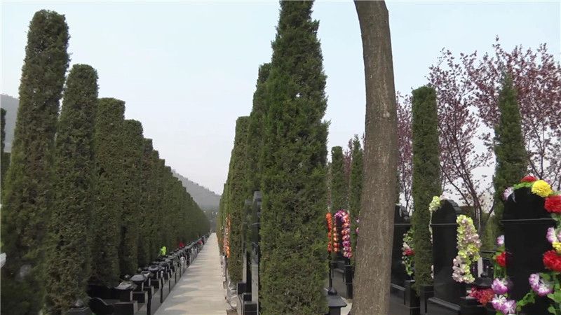 西安霸陵墓園新區標志圖片大全