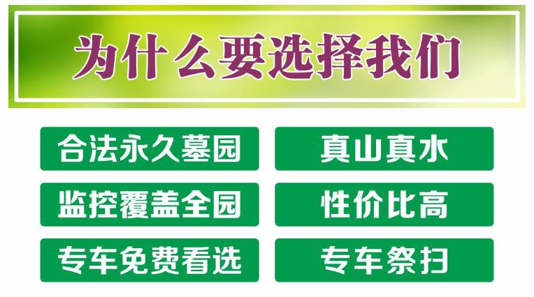 西安鯨魚溝壽陽山圖片，壽陽山公墓