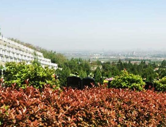 西安戶縣石井鄉(xiāng)潭峪村九龍山公墓萬(wàn)起