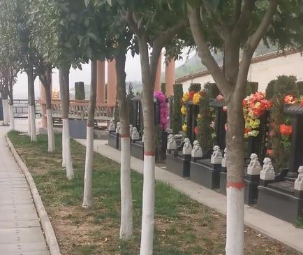 西安霸陵新區寶玉園,視野開闊,綠樹成蔭!