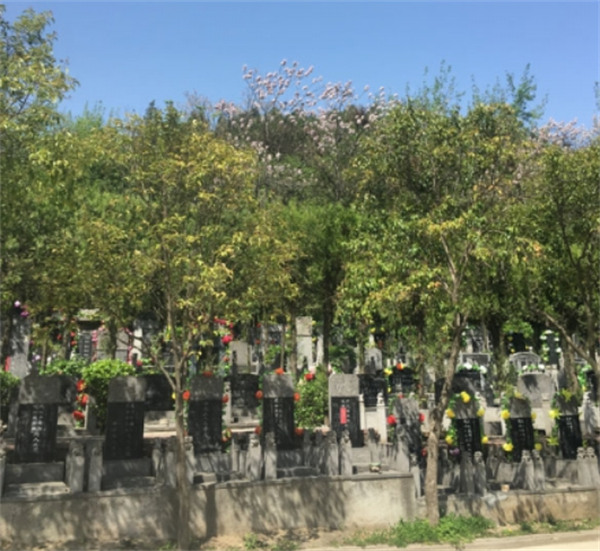 陜西西安九龍山墓園圖片(怎么樣)