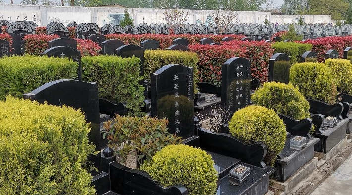 西安棗園山墓園可乘坐路、路、路等公交車抵達